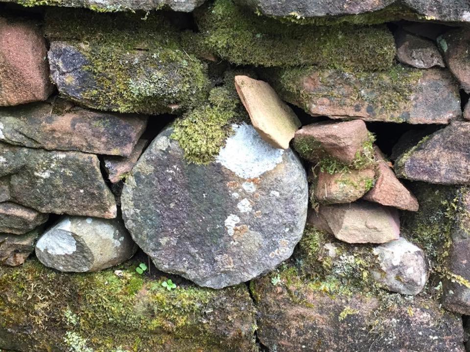 Boggle Dyke Cottage Thornhill  Exterior foto